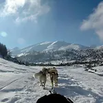 Des 4 Veziaux Apartahotel Campan