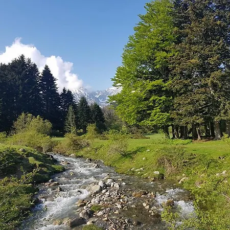 Des 4 Veziaux *