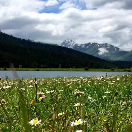 Des 4 Veziaux * Campan