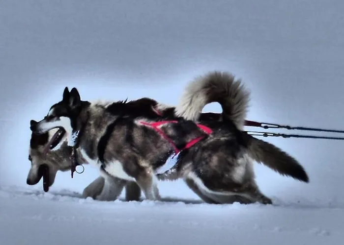 Des 4 Veziaux Campan