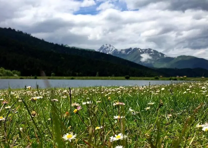 Des 4 Veziaux * Campan